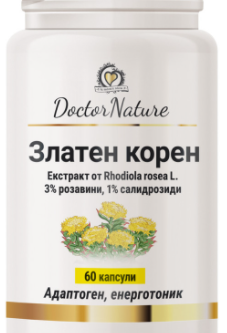 Златен корен-хронична умора,слаба памет