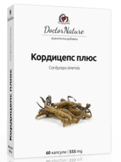 кордицепс плюс