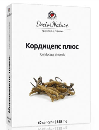 кордицепс плюс
