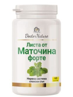 маточина