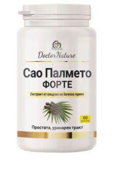 сао палмето форте